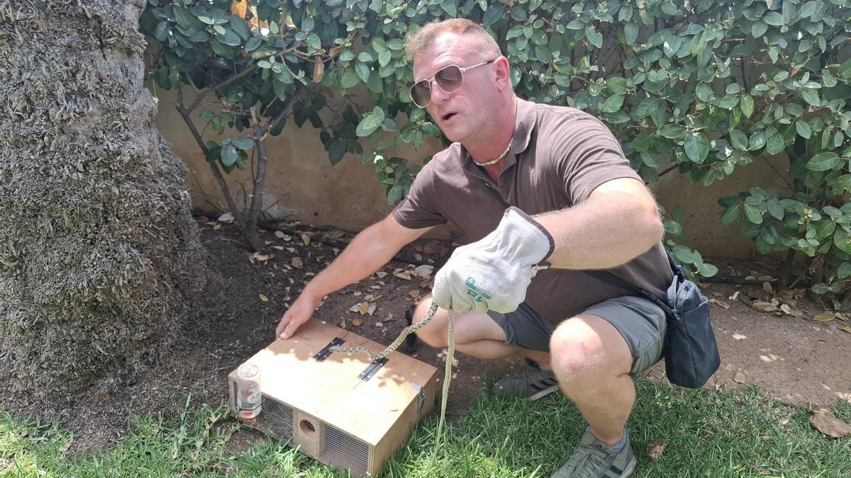 Imagen de archivo de Dean Gallagher capturando una serpiente en Diario de Ibiza.