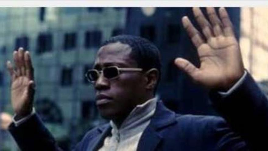 Wesley Snipes sale de la cárcel tras dos años