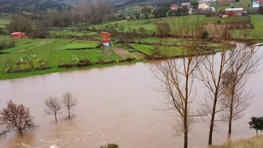 El río Aliste, a punto de saltar el antiguo puente de Domez de Alba