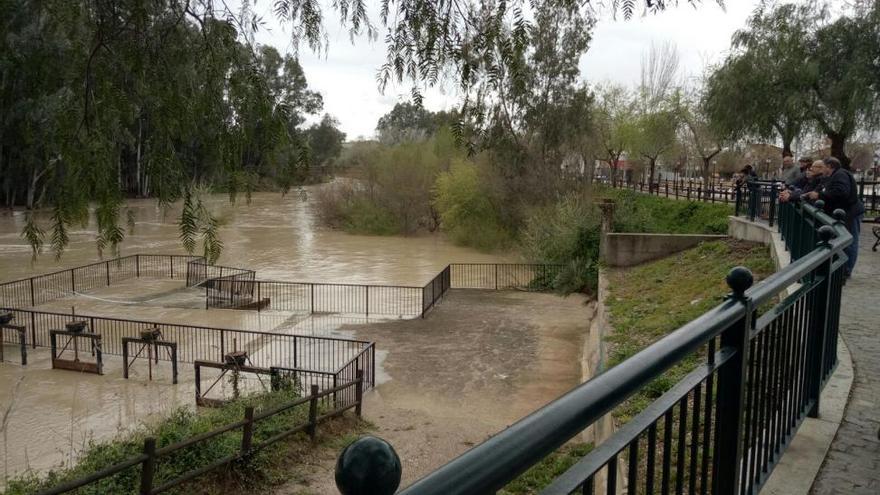 Alerta en Palma del Río ante la crecida del Genil