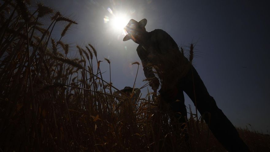 Noche tórrida en Extremadura: 6 localidades cacereñas entre las que registran temperaturas más altas de España