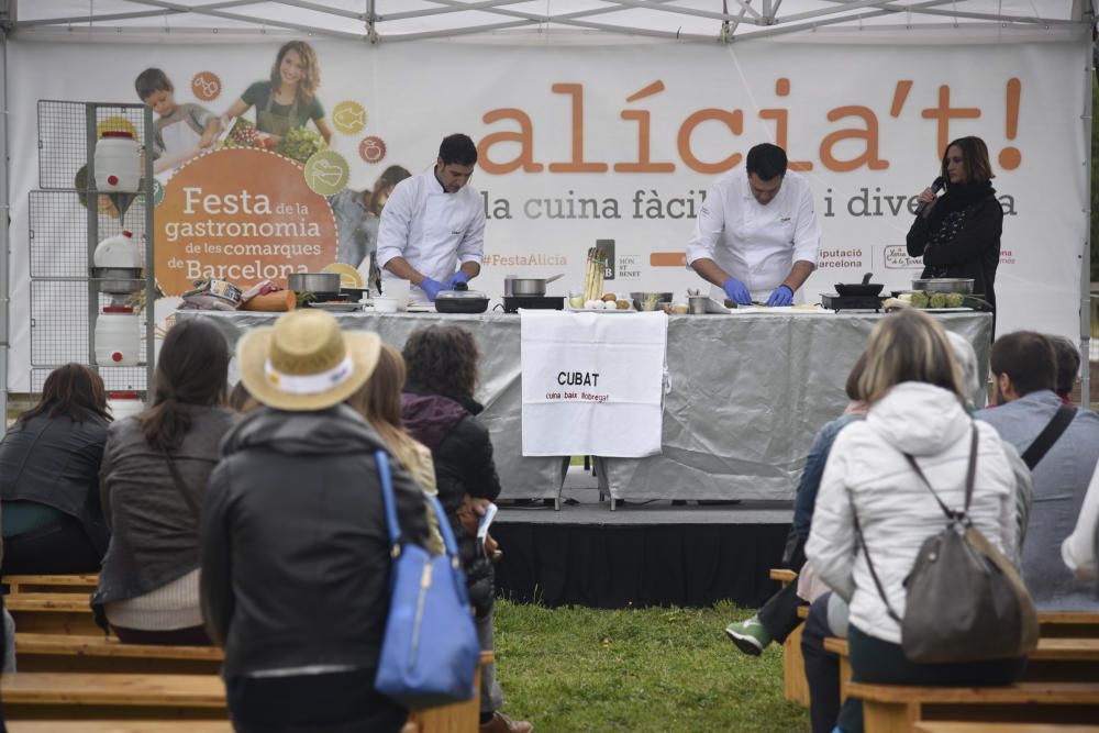 Festa de la Gastronomia Alicia't