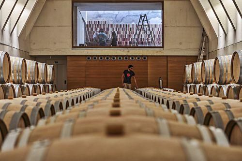 Der neue Anbau der Bodega Ribas in Consell.