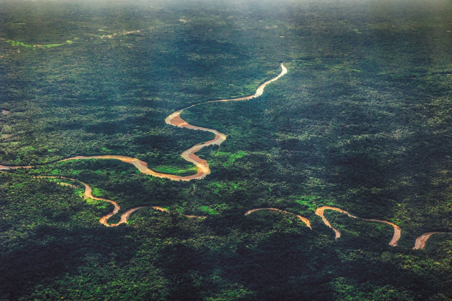 Afluentes del Amazonas.