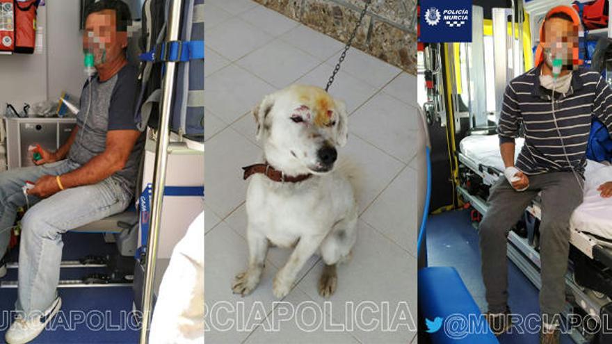 Dos vecinos de Murcia se juegan la vida para salvar a un perro de un trastero en llamas