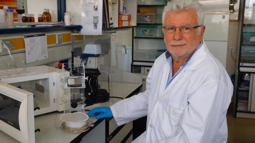 Miguel de la Guardia trabaja en su laboratorio con microondas y cafeteras.