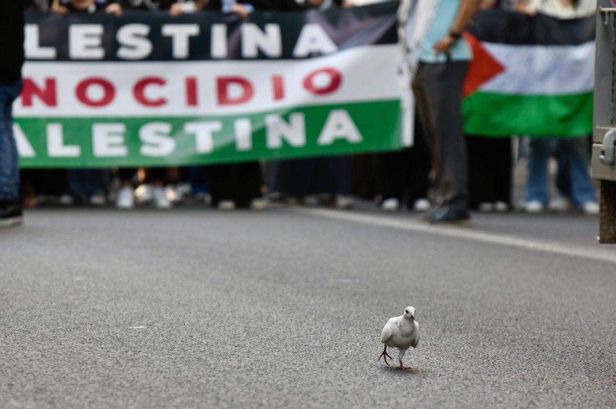 La manifestación de Murcia a favor de Gaza, en imágenes