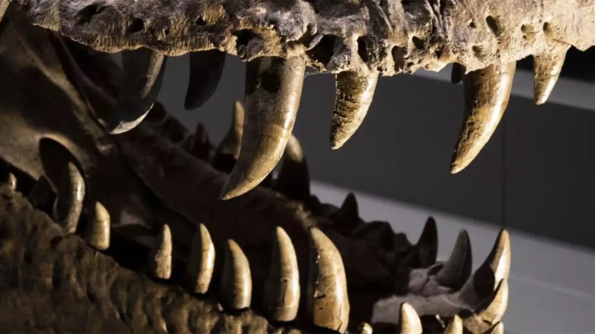 Desvelan cómo era el aire prehistórico en la Tierra a partir de dientes de dinosaurios