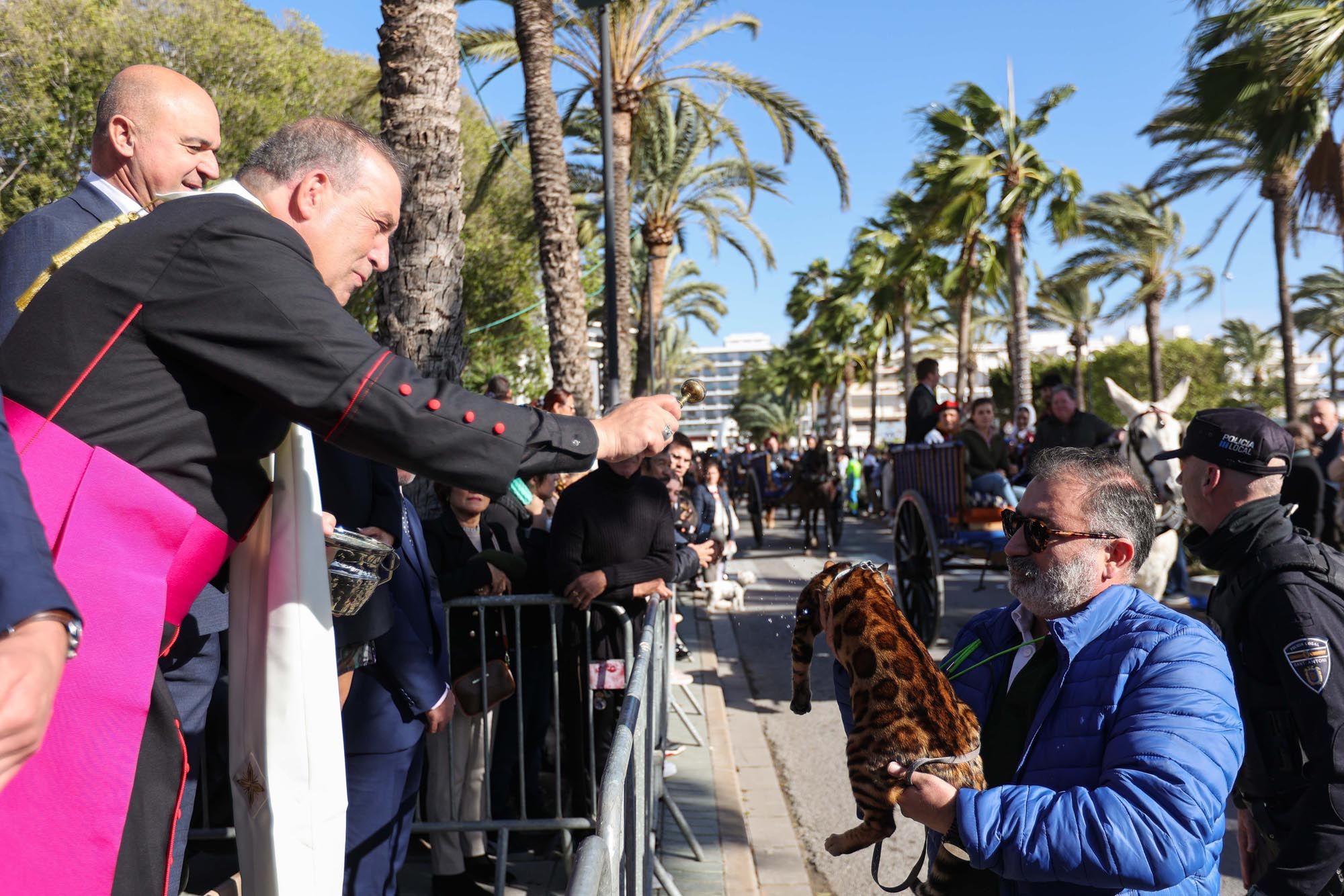 Todas las imágenes de la bendición de animales y el día grande de las fiestas de Sant Antoni