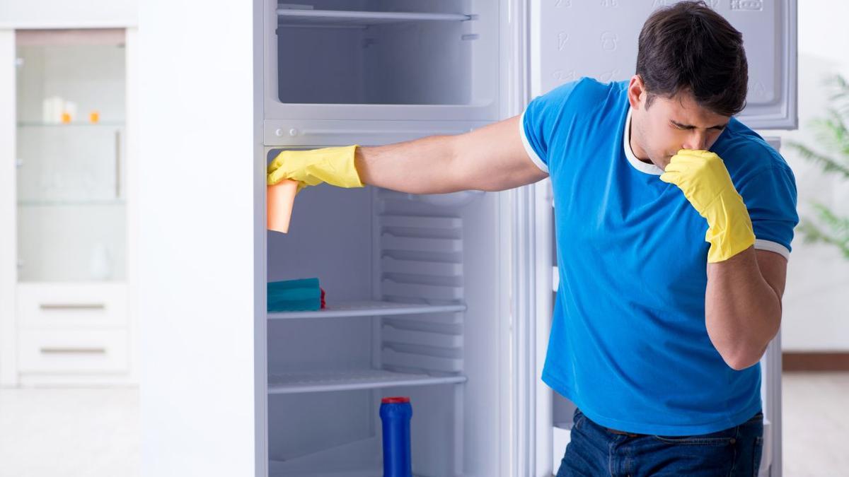 Cómo limpiar el frigorífico por dentro sin complicaciones y con resultados sorprendentes