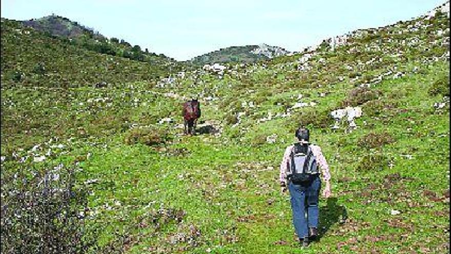 Un senderista camina hacia el Cadupo.