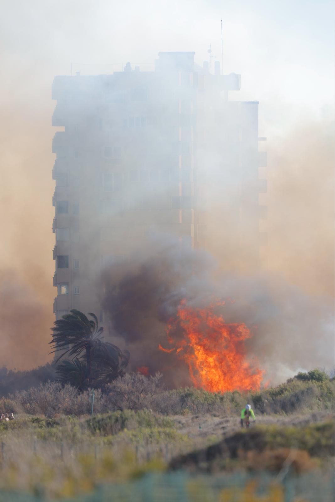 Declarado un incendio en el Saler