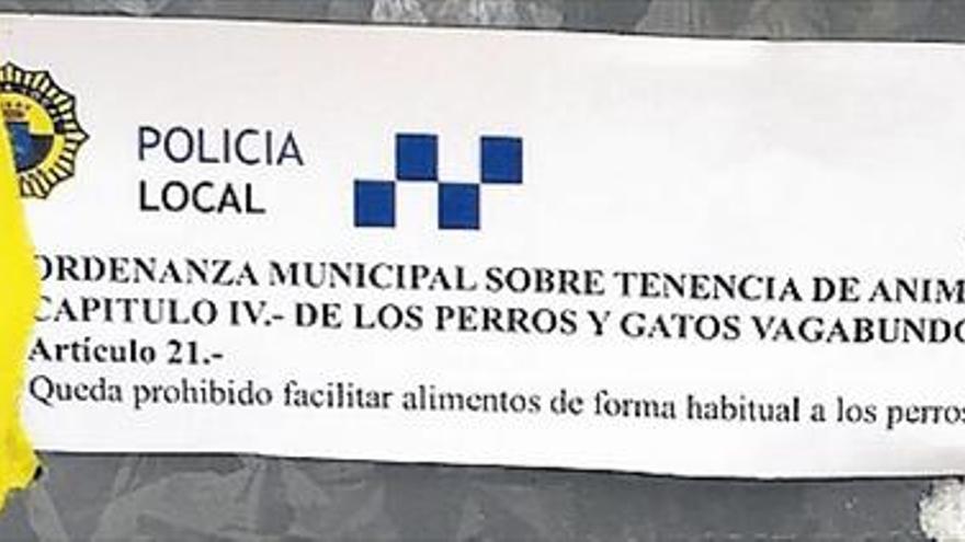 Burriana pone cerco a dar de comer a animales en las calles