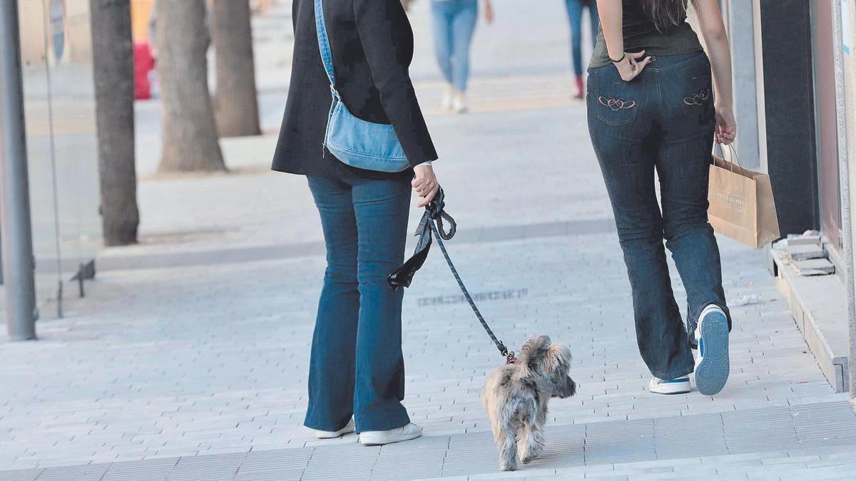 Una mujer pasea a su perro por las calles de Murcia, esta semana. 