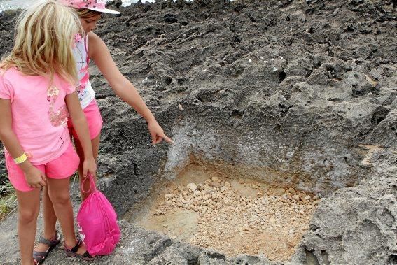 Auf Na Galera bei Can Pastilla haben Archäologen auf eigene Faust bis zu 4.500 Jahre alte Überreste ausgegraben. Im Sommer bieten sie jeden Donnerstag Führungen an.