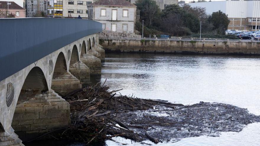 Ramas en el Río Lérez atascando el puente de O Burgo.