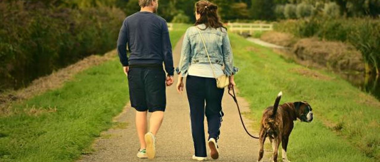 Una pareja pasea con su perro