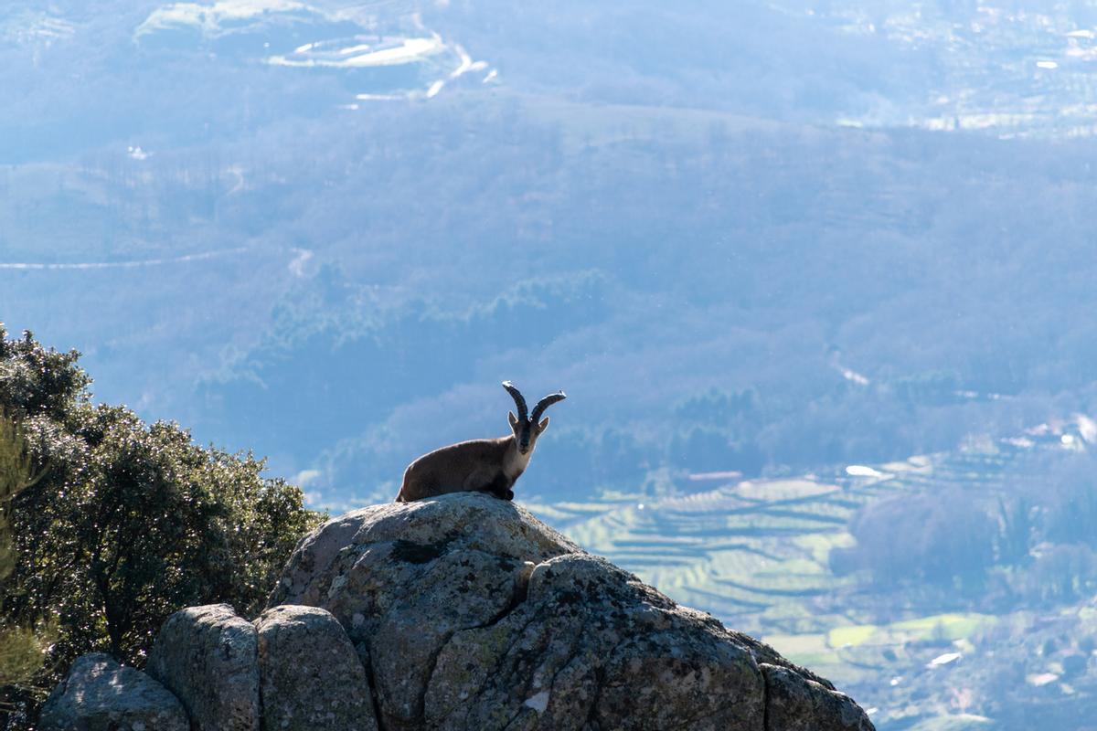 Paisaje del Valle de La Vera