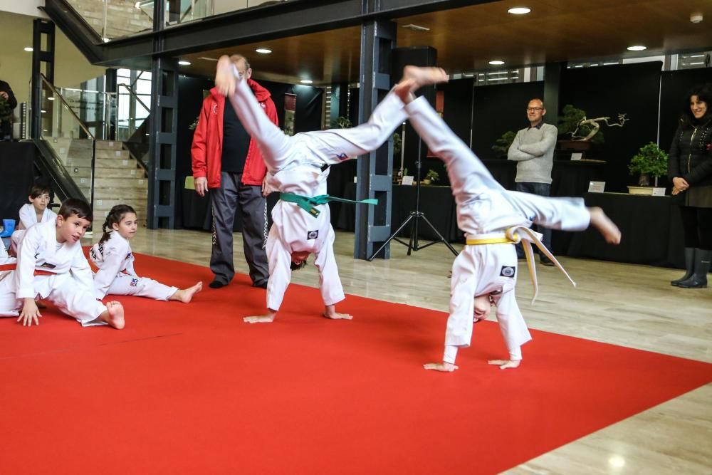 Una exposición muestra 62 ejemplares en La Lonja, algunos con 200 años de antigüedad y exhibición de artes marciales