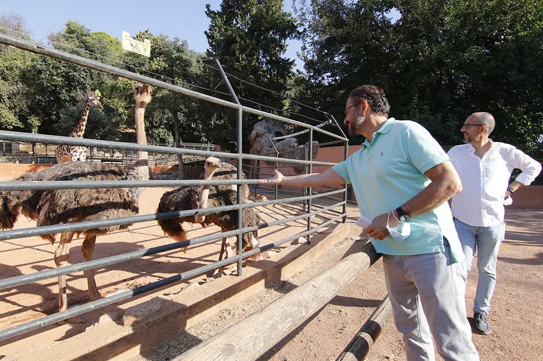 Reapertura del Zoológico tras el estado de alarma