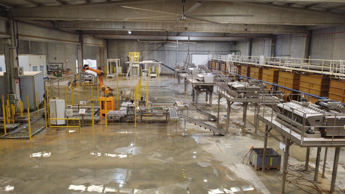 Algunas empresas recuperan las instalaciones tres semanas después.