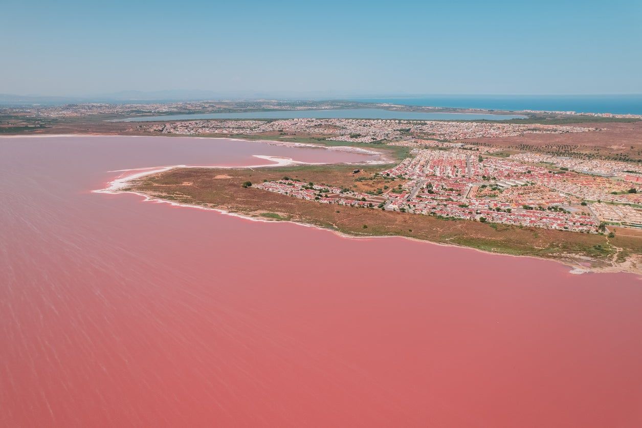Vista aérea de la laguna rosa de Torrevieja con el mar azul de fondo.