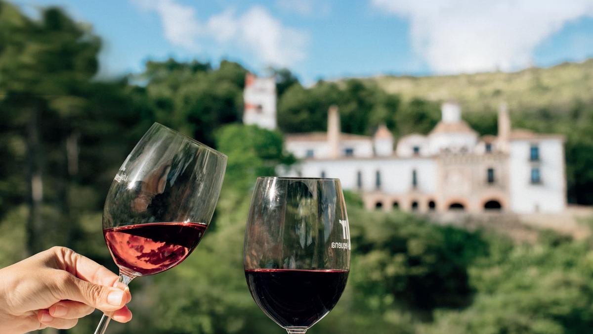 La viña y el vino son la idiosincrasia de Tierra Bobal.