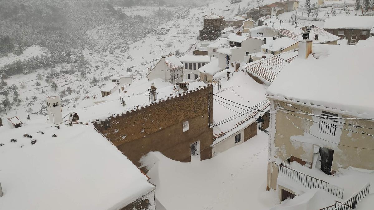 Xodos nevado.