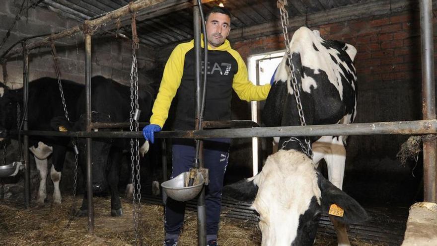 La Xunta confía en que deje de circular en dos semanas el virus que mató a 76 vacas