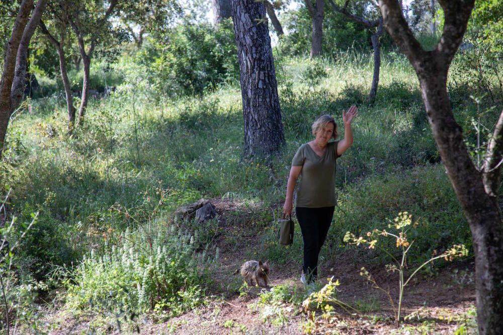 Die Parks in Palma de Mallorca sind wieder geöffnet