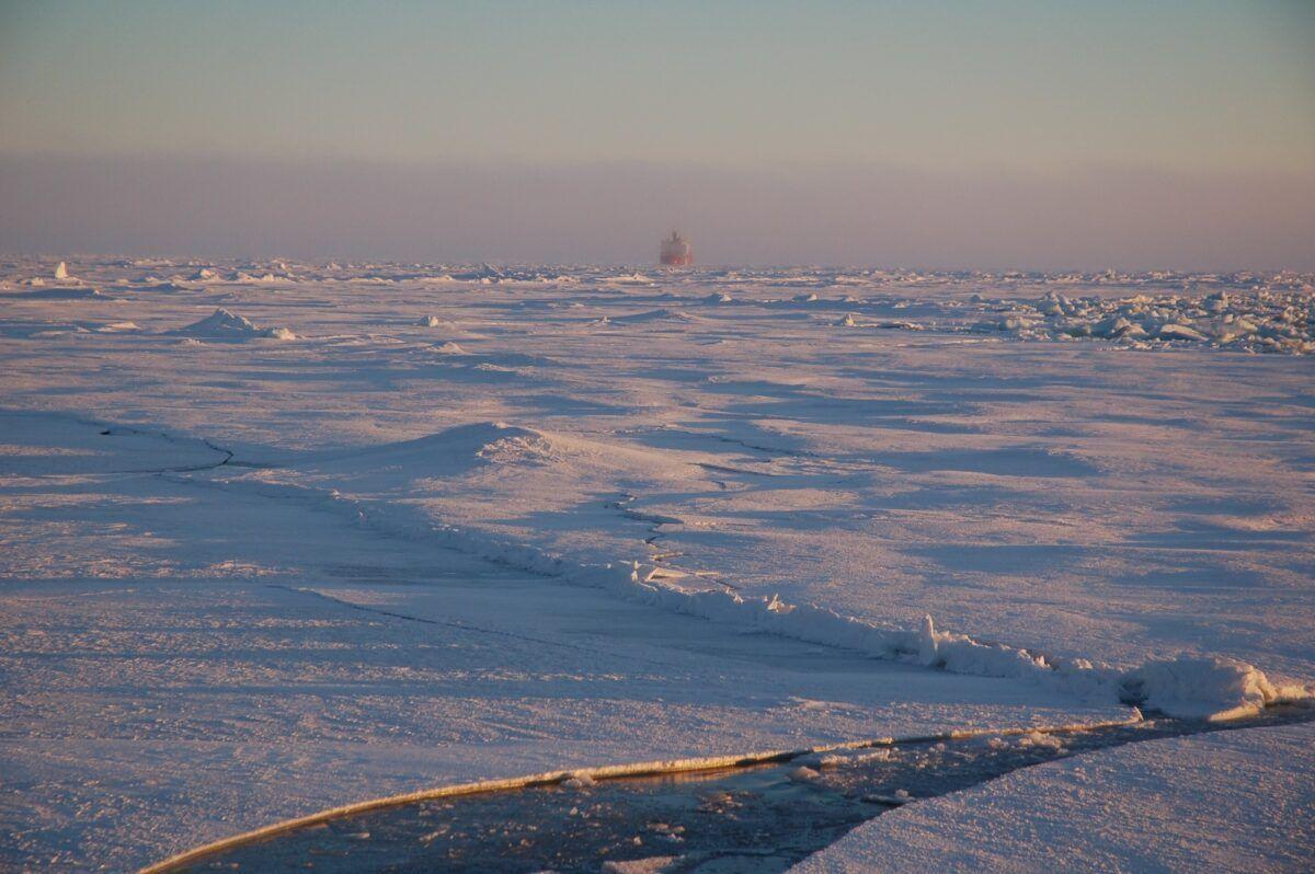 La última zona de hielo ártico puede desaparecer este siglo, alertan los científicos