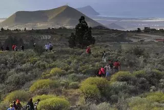 La nueva Ruta del Hermano Pedro cuenta ya con más de 500 inscritos