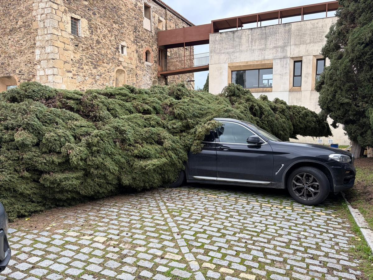 Fotogalería | Así ha afectado la borrasca Kristin en Garrovillas de Alconétar Fotogalería | Así ha afectado la borrasca Kristin en Garrovillas de Alconétar