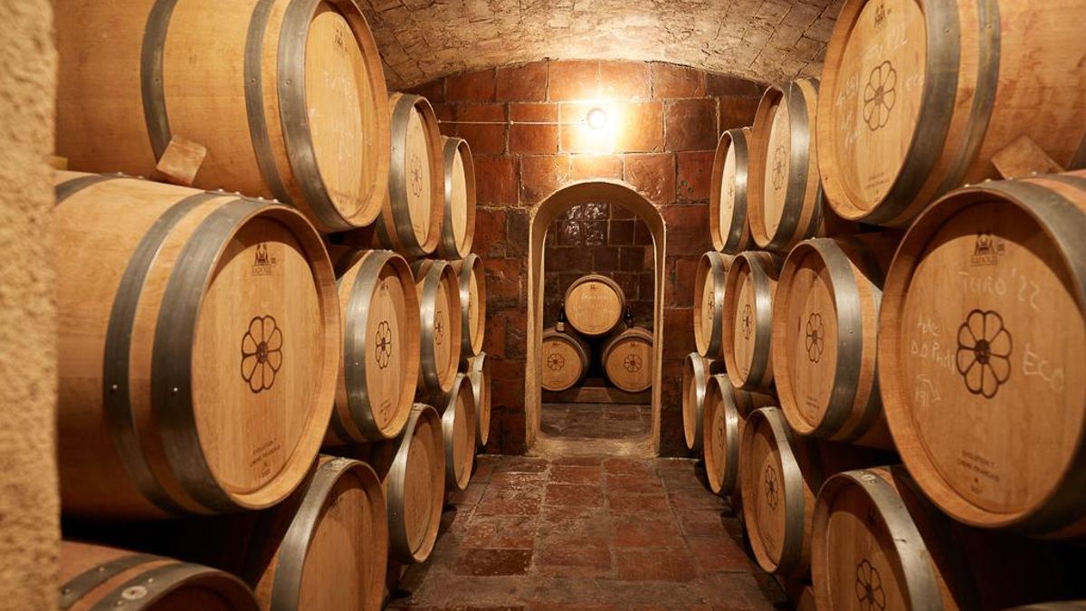 Un celler