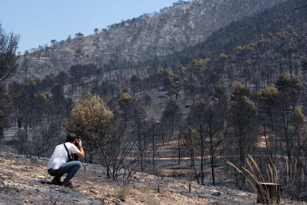 Así ha quedado la zona tras el incendio.