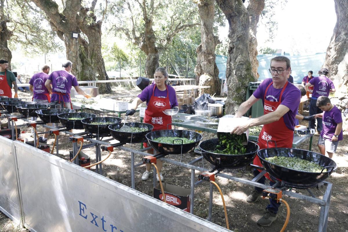 Padrón se rinde al pimiento de Herbón: 3.000 raciones para una fiesta multitudinaria Padrón se rinde al pimiento de Herbón: 3.000 raciones para una fiesta multitudinaria