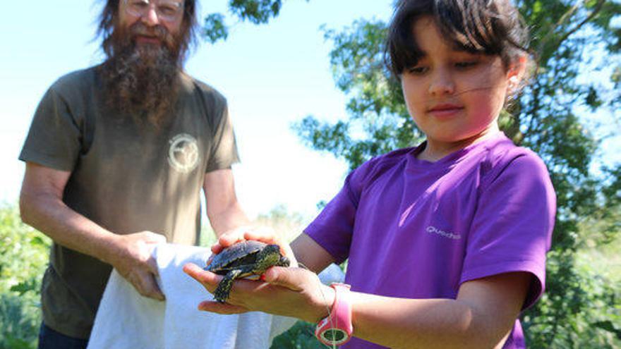 Una nena a punt d&#039;alliberar una tortuga d&#039;estany.