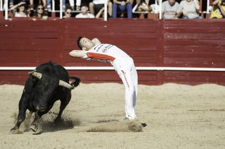 Concurso de cortes en la Plaza de Toros de Benaven