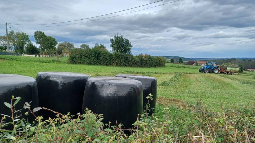 &quot;Cuadra a cuadra&quot;: el Ayuntamiento de Grado pone en marcha un nuevo servicio de recogida de plásticos ganaderos