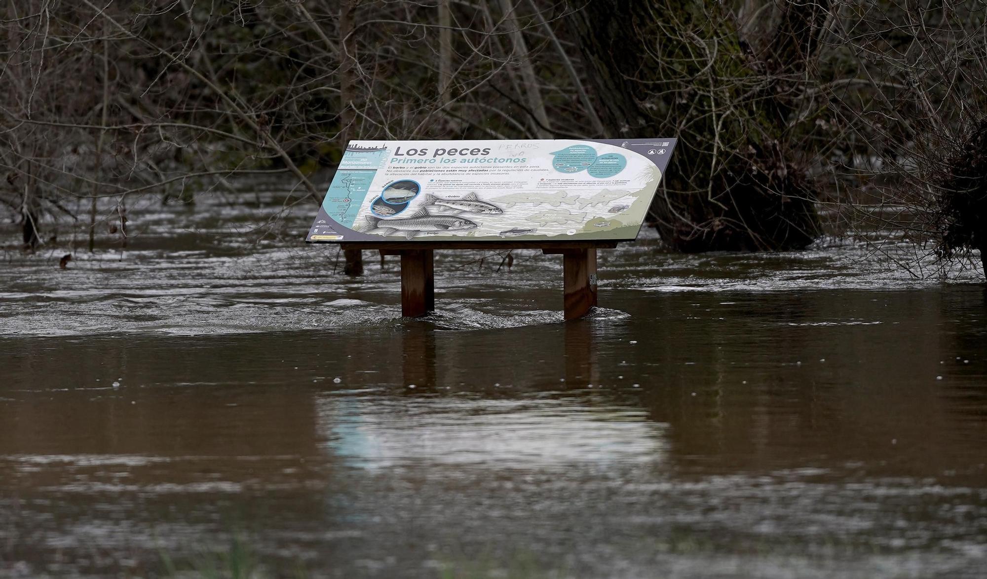 El Manzanares entra en nivel rojo por riesgo de inundaciones en Madrid.