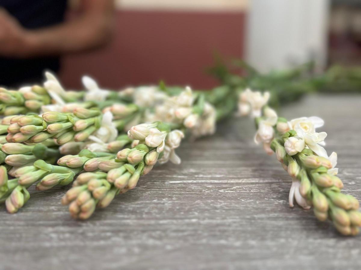 Nardos que se venden en la floristería Ramitos y que son de la misma familia que los que se ponen en el palio de la Virgen de los Reyes.