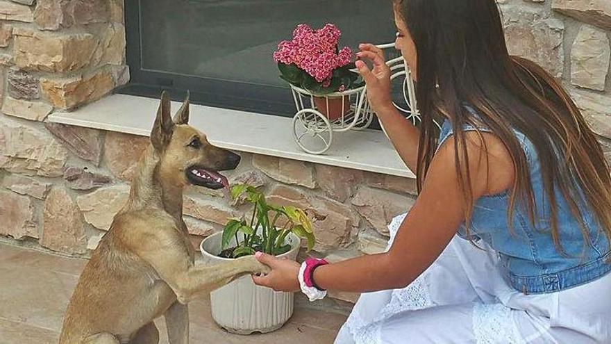 Raquel Colunga saludando a su mascota, “Narco”. En el círculo, la imagen del perro difundida en redes.