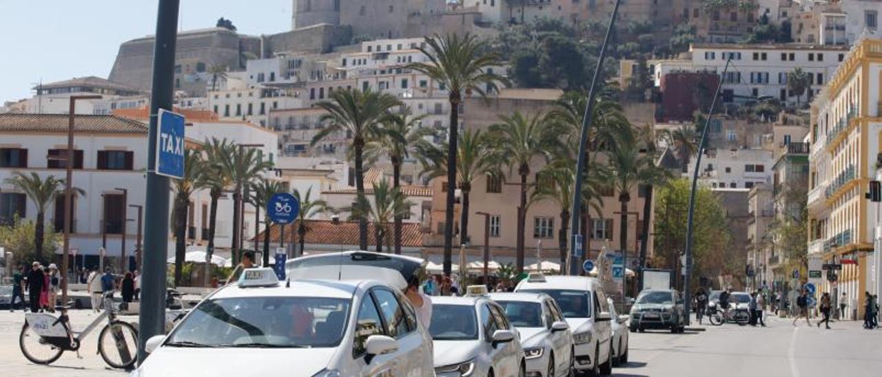 Un grupo de taxis en la parada de la avenida de Santa Eulària de Eivissa. | J. A. RIERA