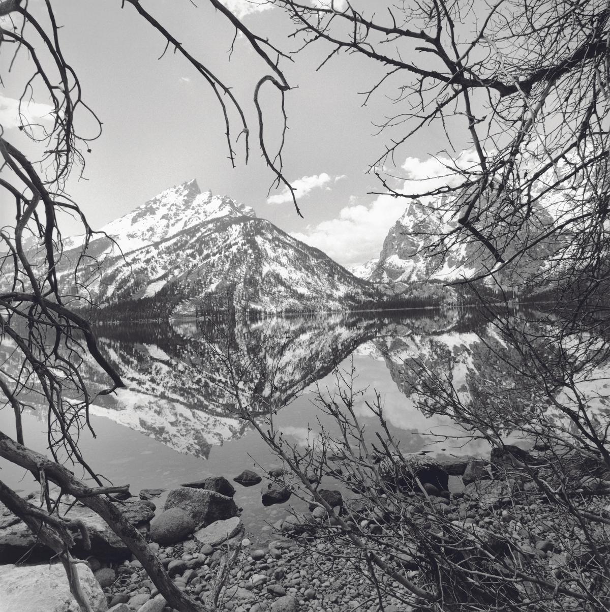 Grand Teton National Park, Wyoming, 1999.