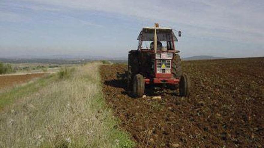 Un tractor ara unas tierras de la comarca.