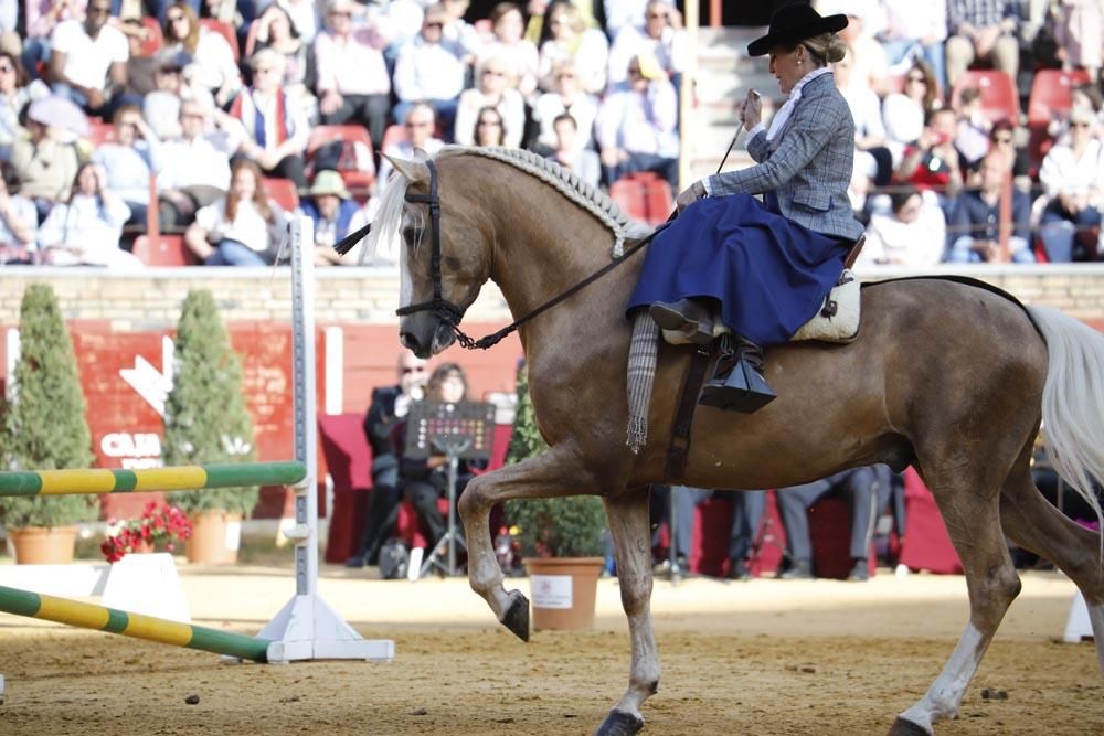 El mundo del caballo contra el cáncer