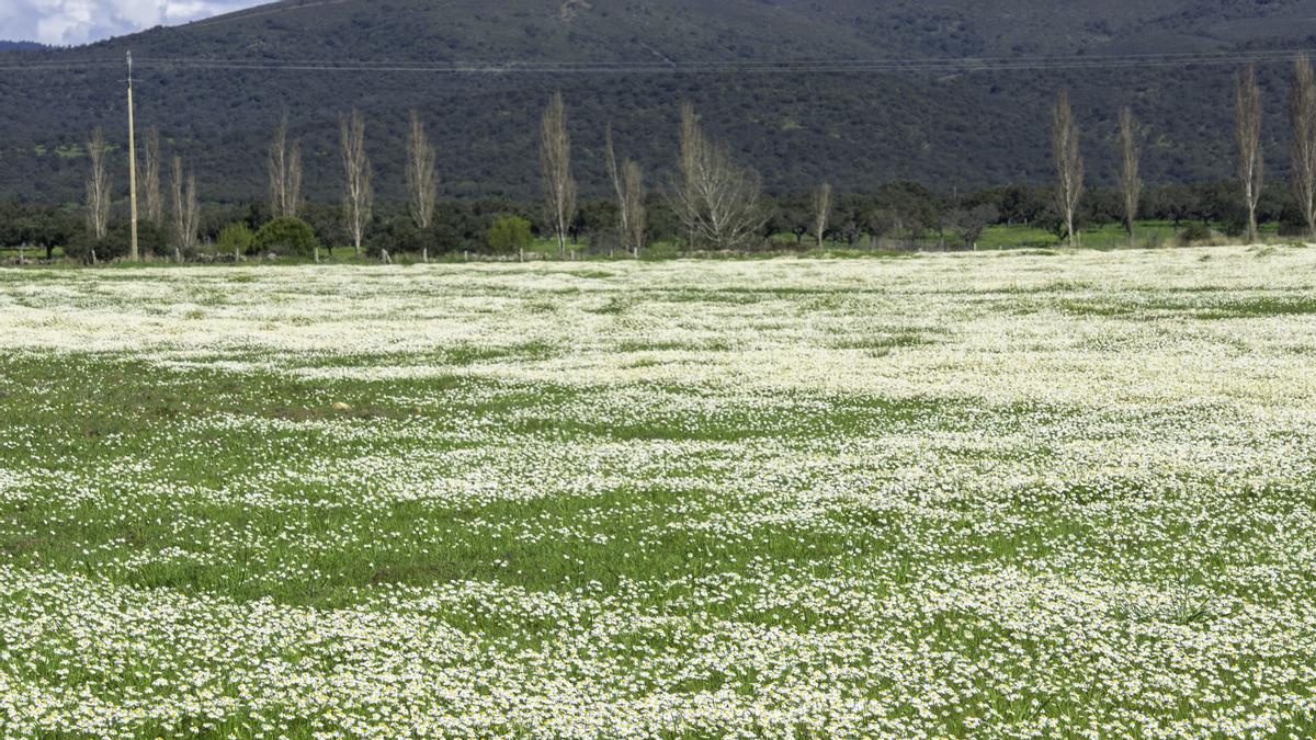 Fotogalería| Tiempo primaveral este jueves