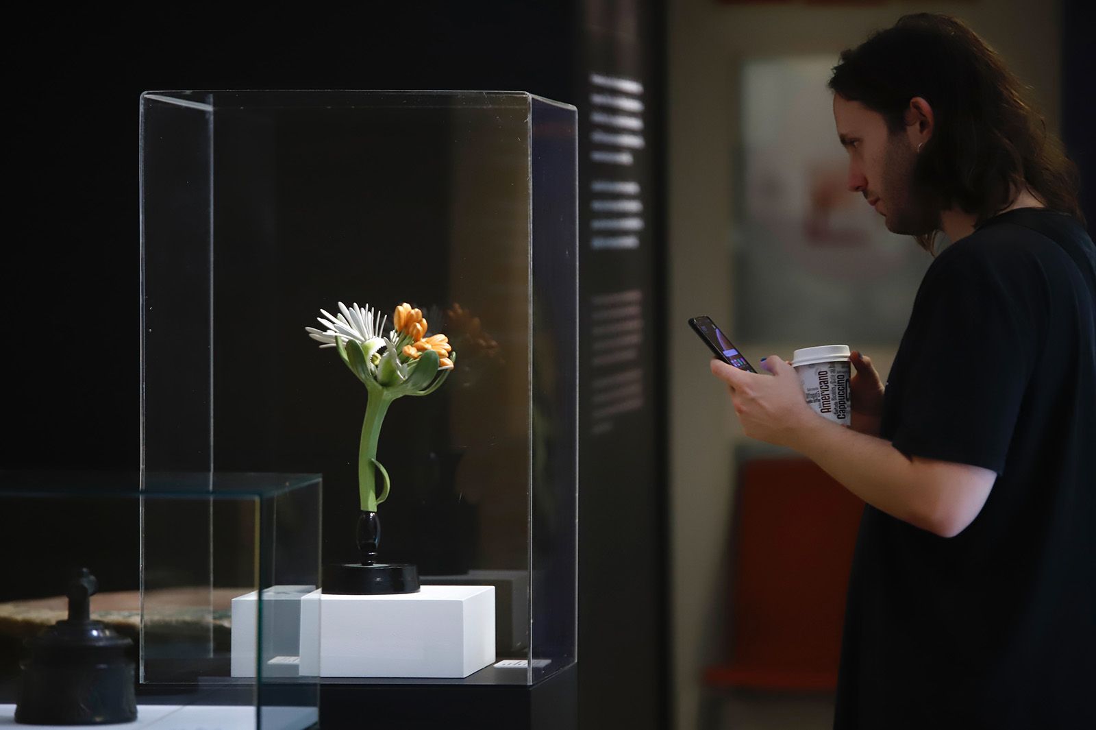Flora expone el vínculo ancestral entre botánica y arqueología