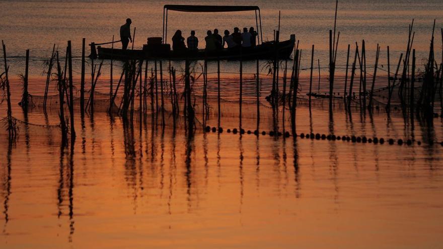 Medio siglo de lucha ecologista: &quot;Sin ella la humanidad no puede avanzar&quot;