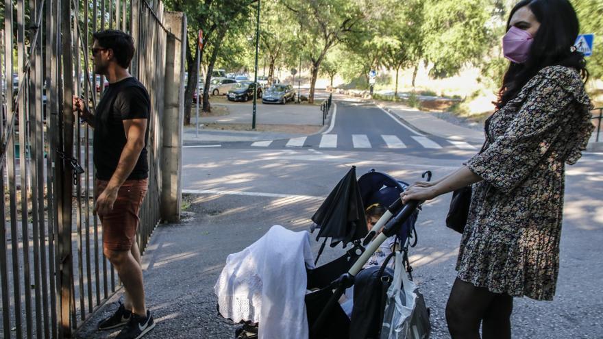 Los jabalíes que rondan el casco urbano de Cáceres serán abatidos con flechas